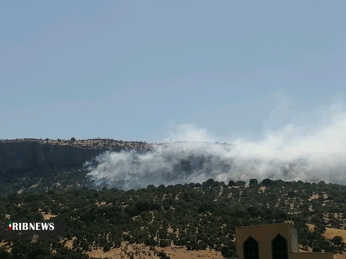 آتش سوزی در بخشی از مراتع و جنگلهای مشرف بر شهر چیتاب